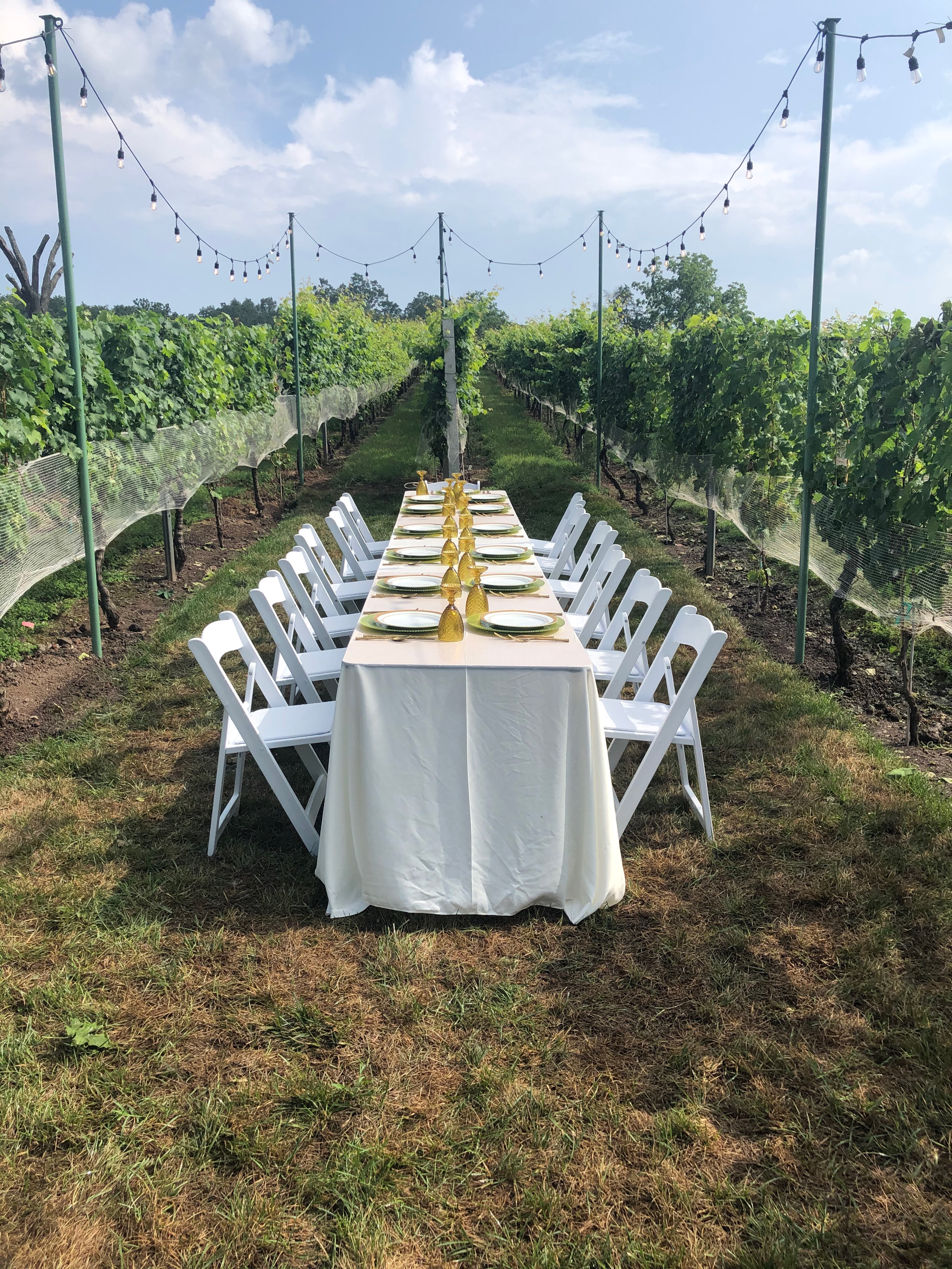 Intimate affair at Morais Vineyards