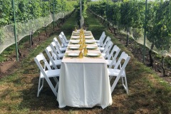 Intimate affair at Morais Vineyards